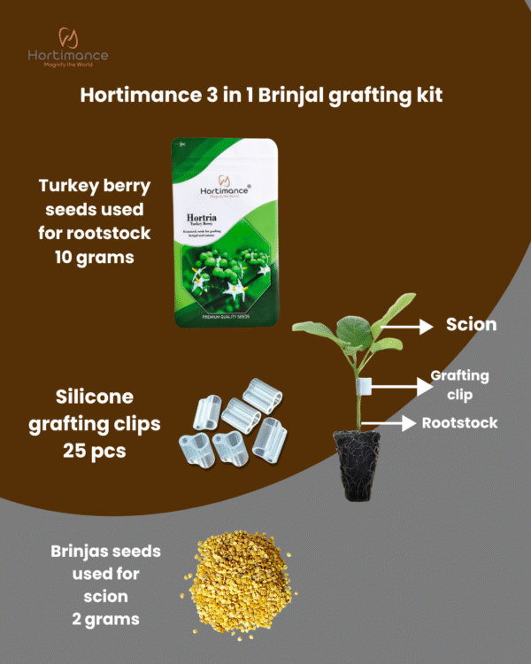 Hortimance 3 in 1 brinjal grafting kit for home garden